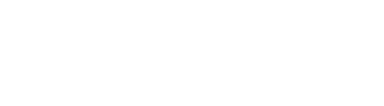 Nelsen Studio Logo